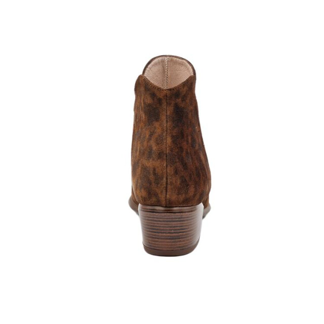 Hispanitas Phi254383 020669 large