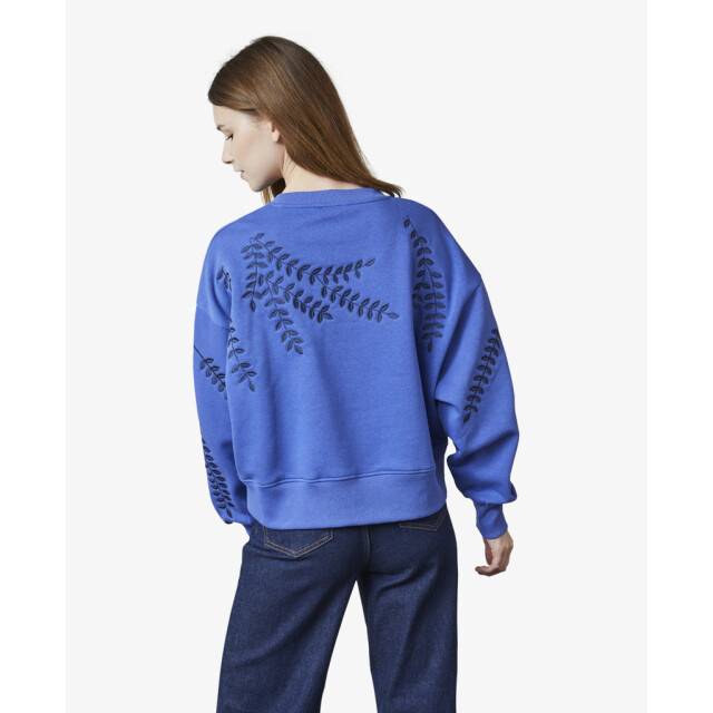 Sisters Point Truien & vesten hike-sw6 blauw 55005888 large