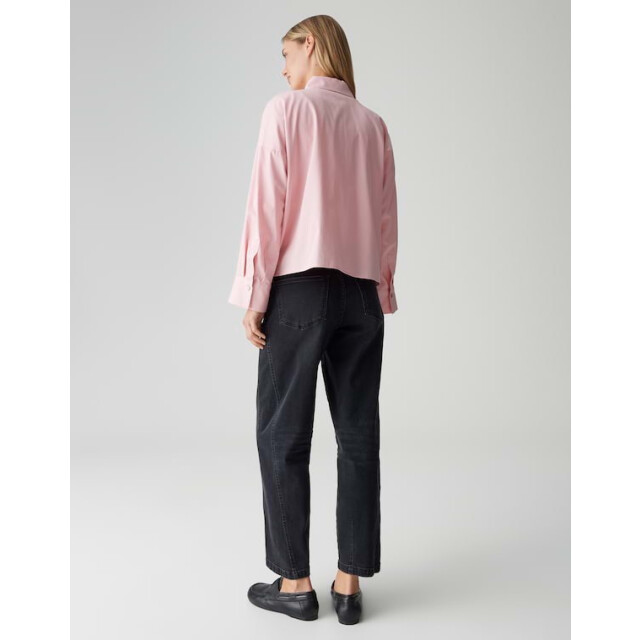 Opus Fundra 10492413810100 koraal 4309.42.0001 large