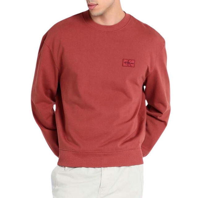 Calvin Klein Heren geborduurd logo oversized sweatshirt UTNA385_rust large