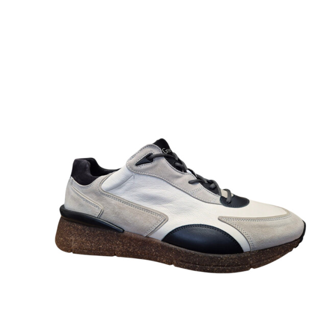 Greve 7285.01 7285.01 large