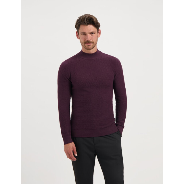 Saint Steve 240550 conor 80012 plum melange 05711.770.0032 large