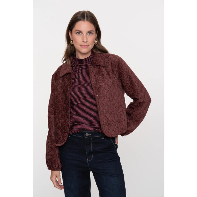 Geisha 55800-10 480 jacket quilted velvet burgundy 55800-10 480 large