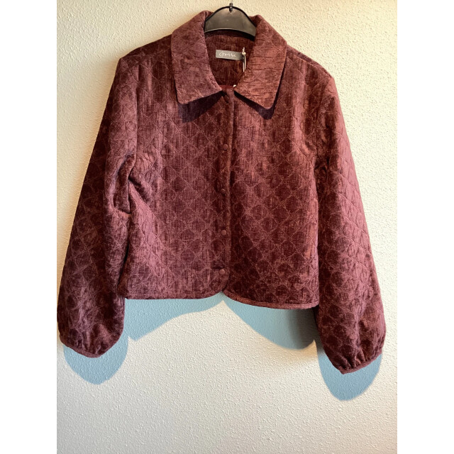 Geisha 55800-10 480 jacket quilted velvet burgundy 55800-10 480 large