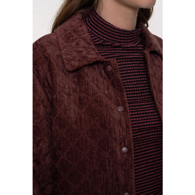 Geisha 55800-10 480 jacket quilted velvet burgundy 55800-10 480 large