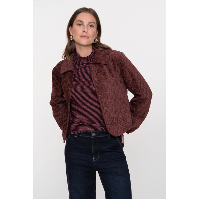 Geisha 55800-10 480 jacket quilted velvet burgundy 55800-10 480 large