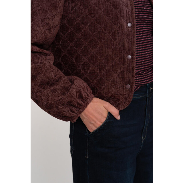 Geisha 55800-10 480 jacket quilted velvet burgundy 55800-10 480 large