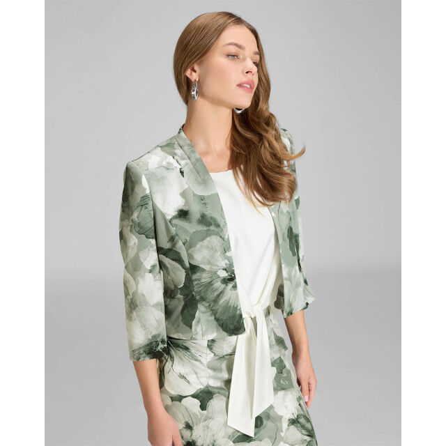 Swing Blazer 4ak01300 Swing Blazer 4AK01300 large