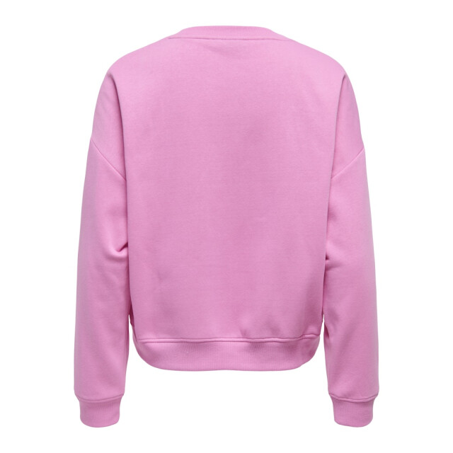 Only Onlsweat life ls crew o.size state noos - 4209.60.0009 large