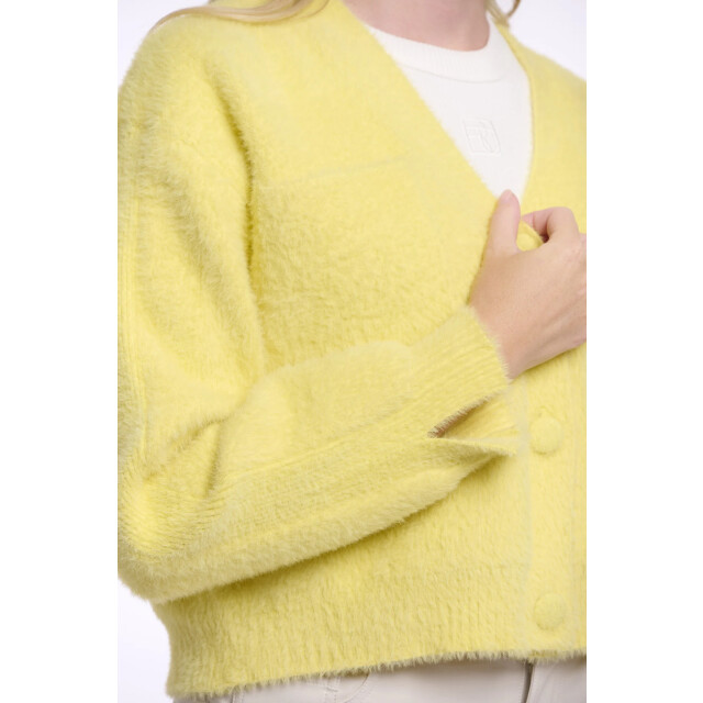 Rino & Pelle Isarea.5002621 rino&pelle short v-neck cardigan breezy lime Isarea.5002621 Breezy lime large