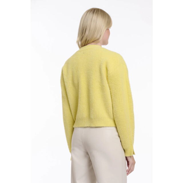 Rino & Pelle Isarea.5002621 rino&pelle short v-neck cardigan breezy lime Isarea.5002621 Breezy lime large