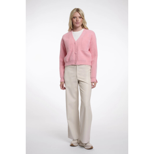 Rino & Pelle Isarea.5002621 rino&pelle short v-neck cardigan cotton candy Isarea.5002621 Cotton candy large