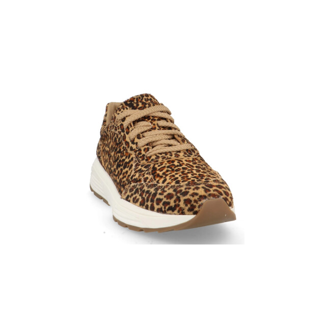 Xsensible 33009.4 G Chain Sneakers Bruin 33009.4 G Chain large