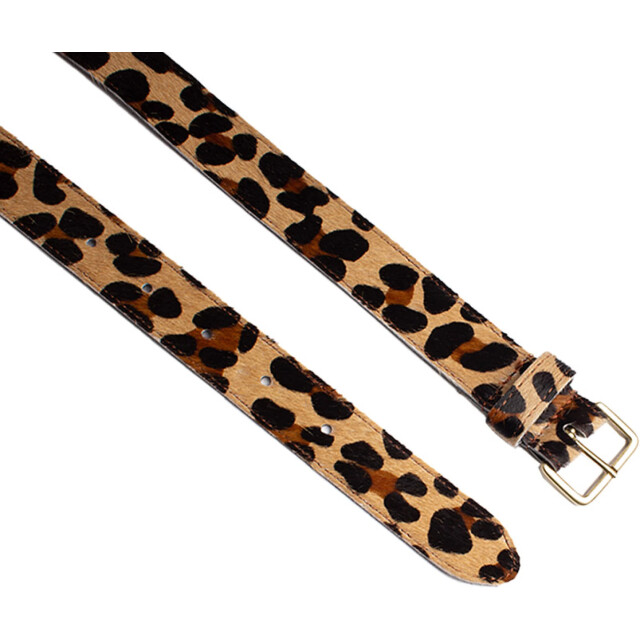 Petrol Industries Riem 30553 panter 30553 Panter large