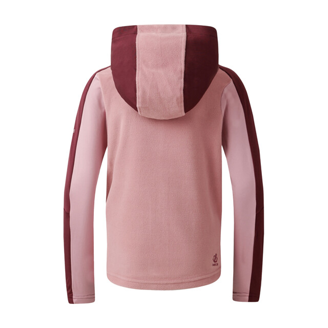 Dare2b Kinder/kids thriving iv fleecejack UTRG12040_figlilas large