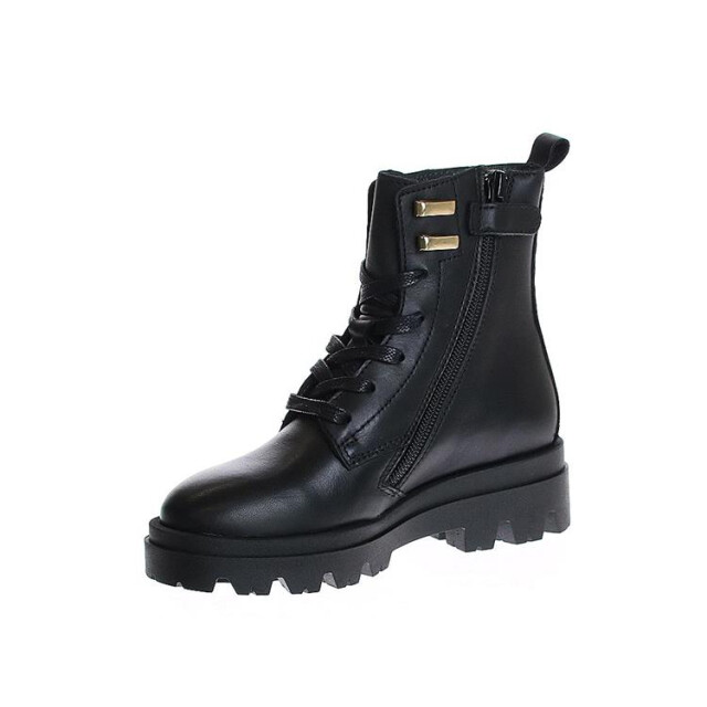 HIP H1626 h1626 large