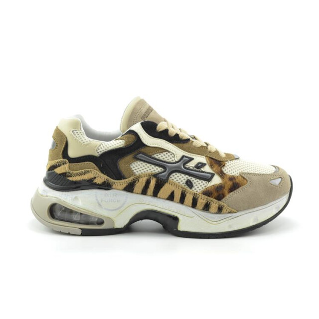 Premiata Sharky-d Sharky-D large