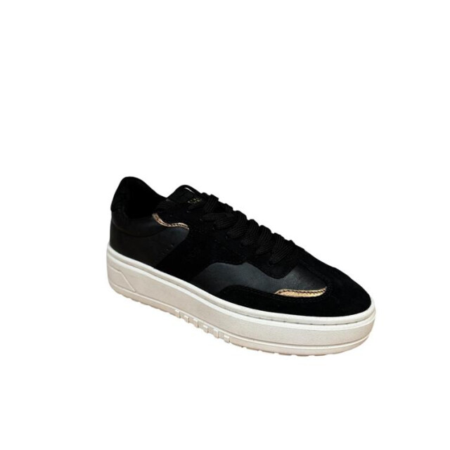 PS Poelman Lpanemone-33hab LPANEMONE-33HAB large