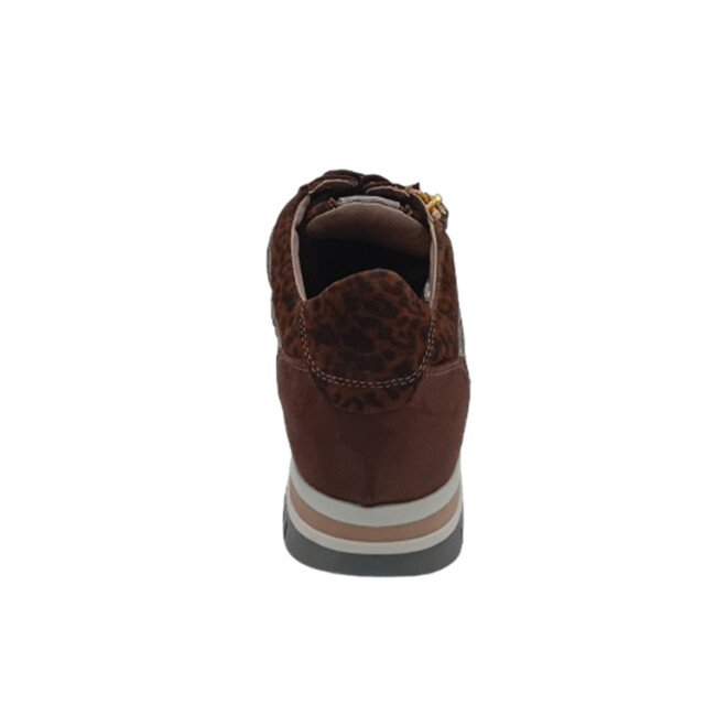 DL Sport 6726 6726 large