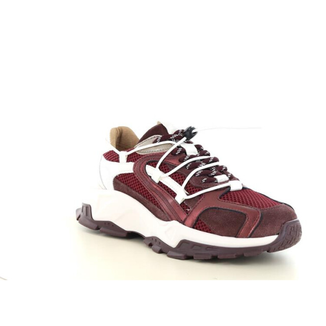 DWRS Label Isola Isola large