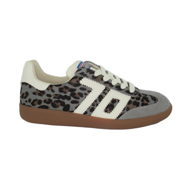 Back 70 Cloud Cloud large