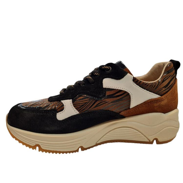 Bridge 24257204 24257204 large