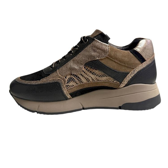 Helioform 294.003 294.003 large