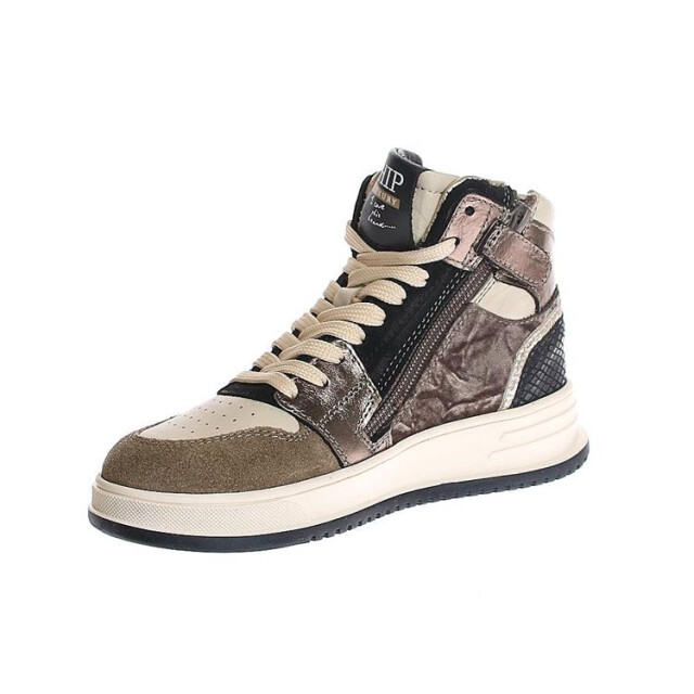 HIP H1012 h1012 large