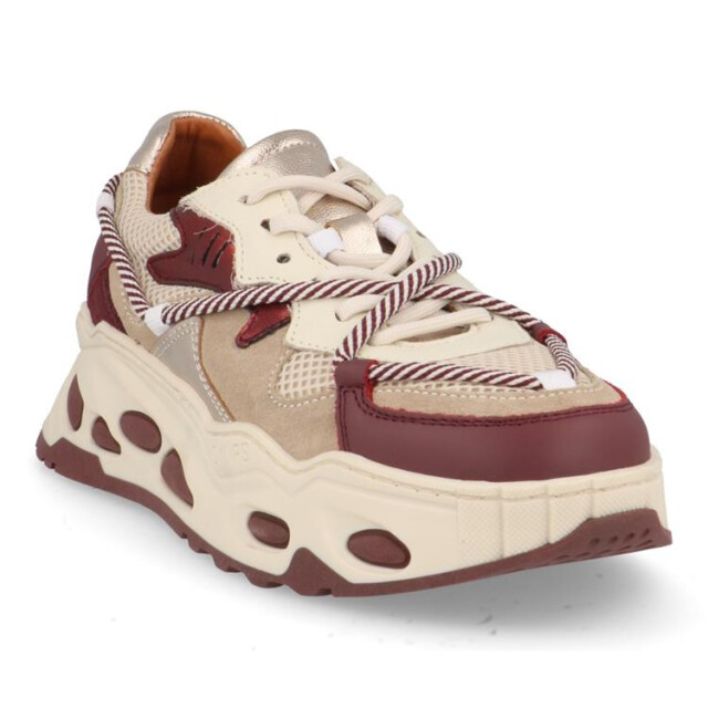 DWRS Label Saturnus Saturnus large