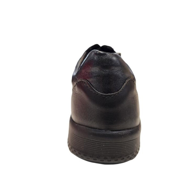 Longo 1135544 1135544 large