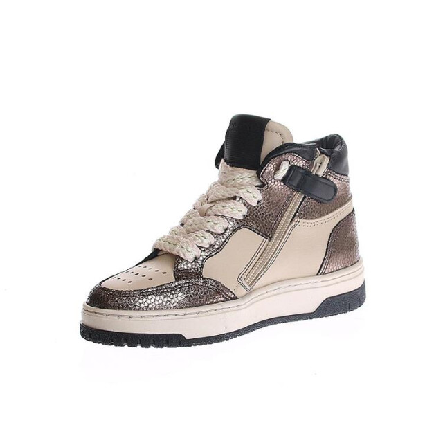 HIP H1197 H1197 large