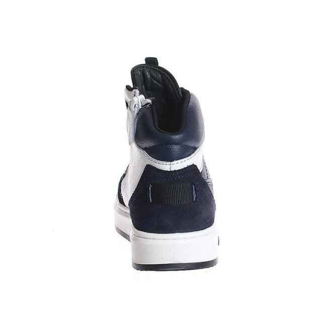 HIP H1526 H1526 large