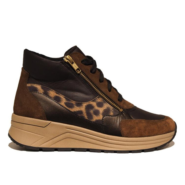 Solidus 59081 karma 59081 Karma large