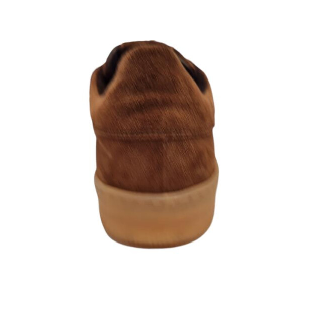 Lloyd 24-567-23 aramis 24-567-23 Aramis large