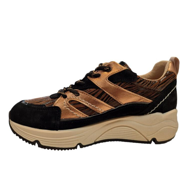 Bridge 24257209 24257209 large