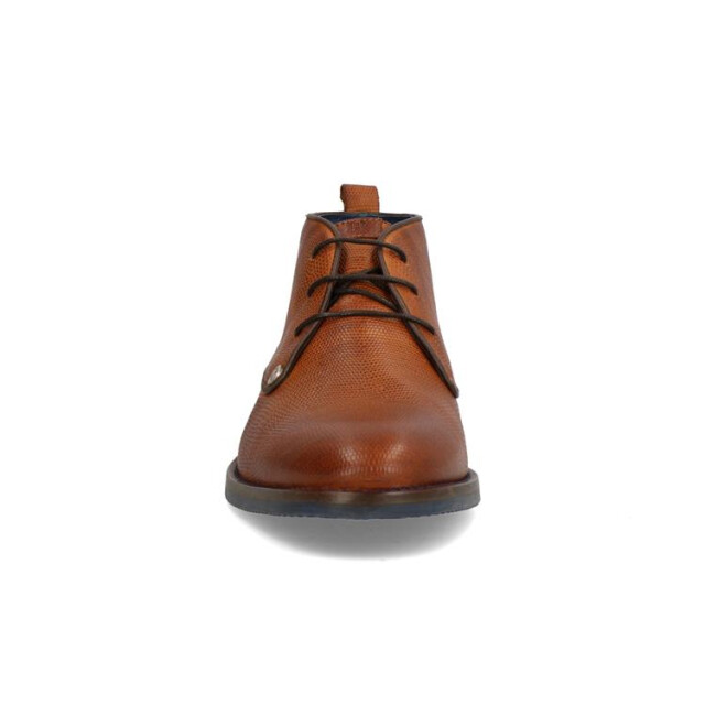 Berkelmans Dakar DAKAR large