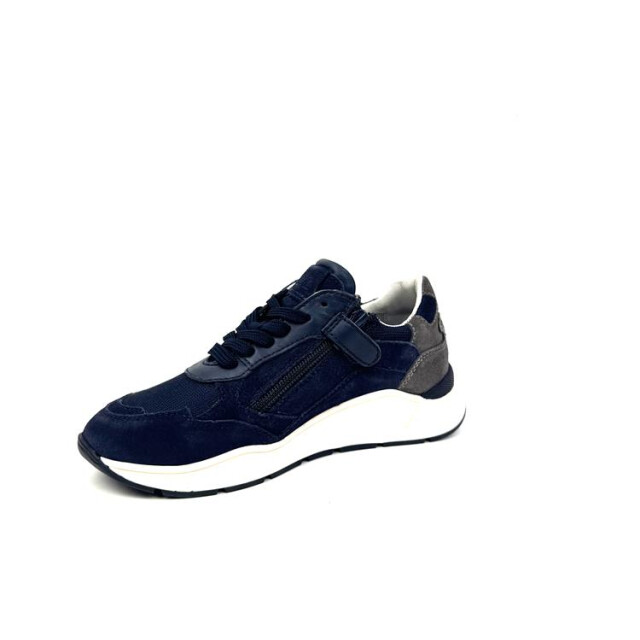 HIP H1929 H1929 large