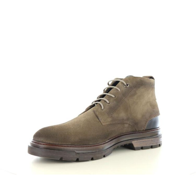 Berkelmans Levin LEVIN large