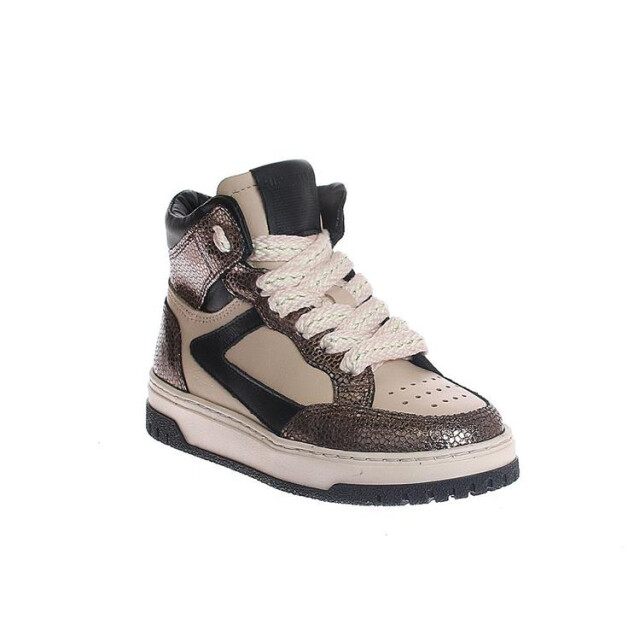 HIP H1197 H1197 large