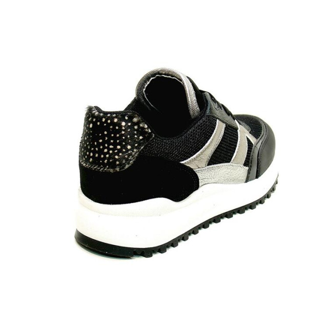 Maruti 66.1728.01 boyd 66.1728.01 Boyd large