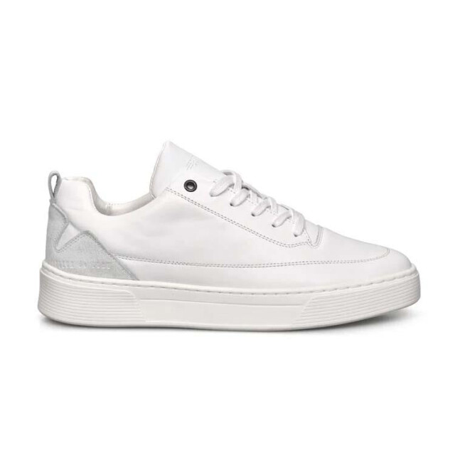 Cycleur de Luxe Cdlm241150 disaster CDLM241150 Disaster large