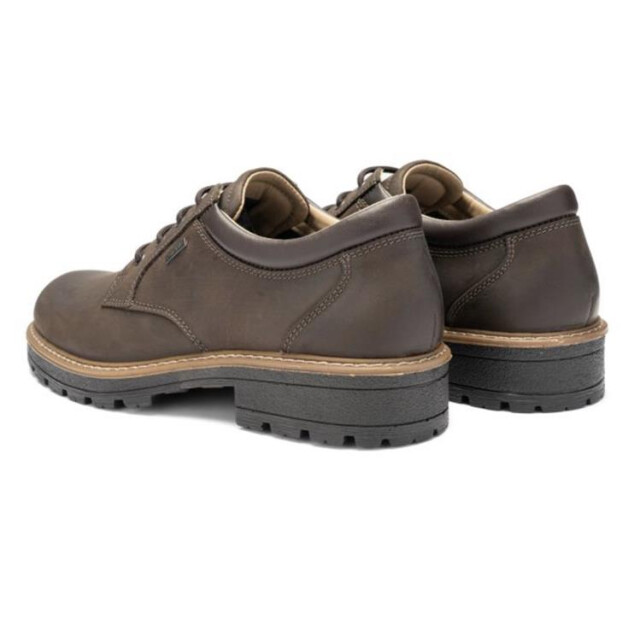 Ara 11-23656 frederik 11-23656 Frederik large