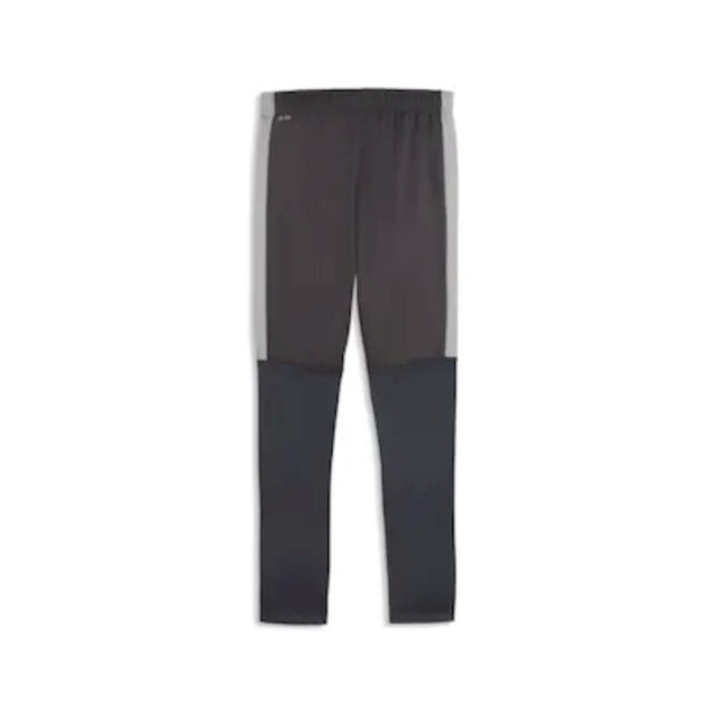 Puma individualliga training pants voetbal trainingsbroek heren - 072432_900-L large