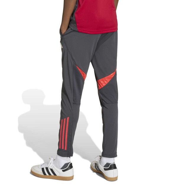 Adidas lfc tr pnt y replica trainingsbroek jongens - 073724_999-164 large