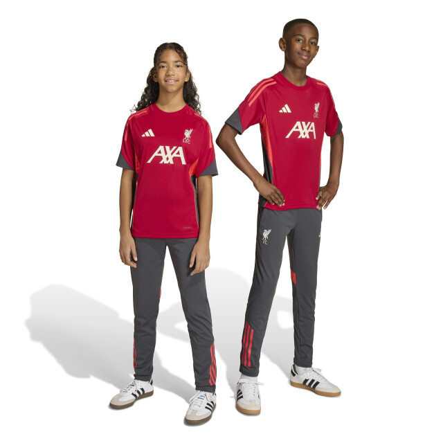 Adidas lfc tr pnt y replica trainingsbroek jongens - 073724_999-164 large