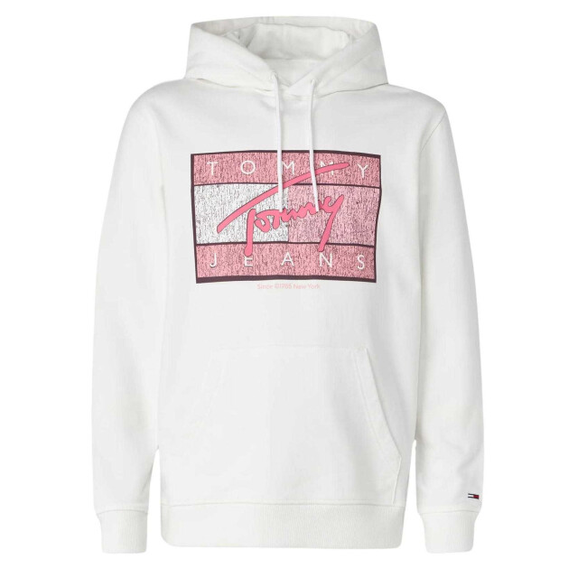 Tommy Hilfiger Heren tommy jeans groot logo hoodie UTNA883_ecru large