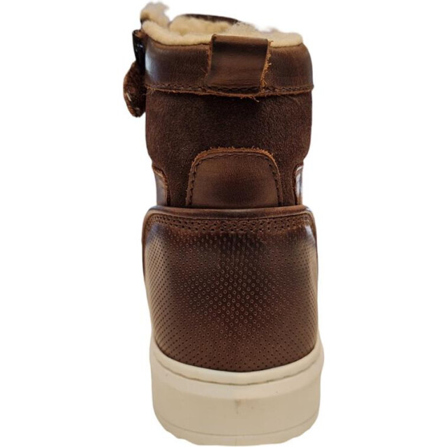 Gattino G2729 G2729 large