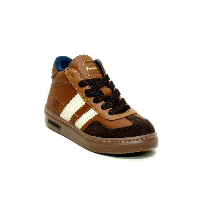 HIP P1403 P1403 large