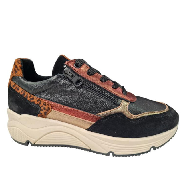 Bridge 25257694 25257694 large