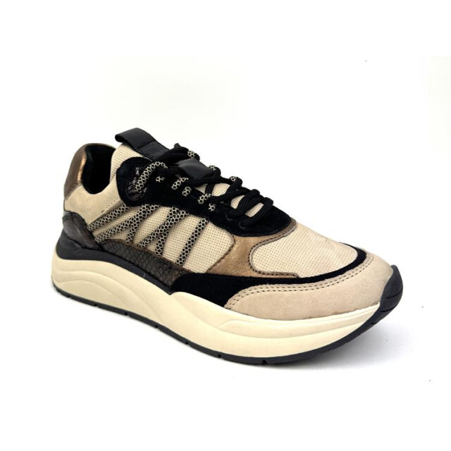 PS Poelman Lpcharu-01poe8 lpcharu-01poe8 large